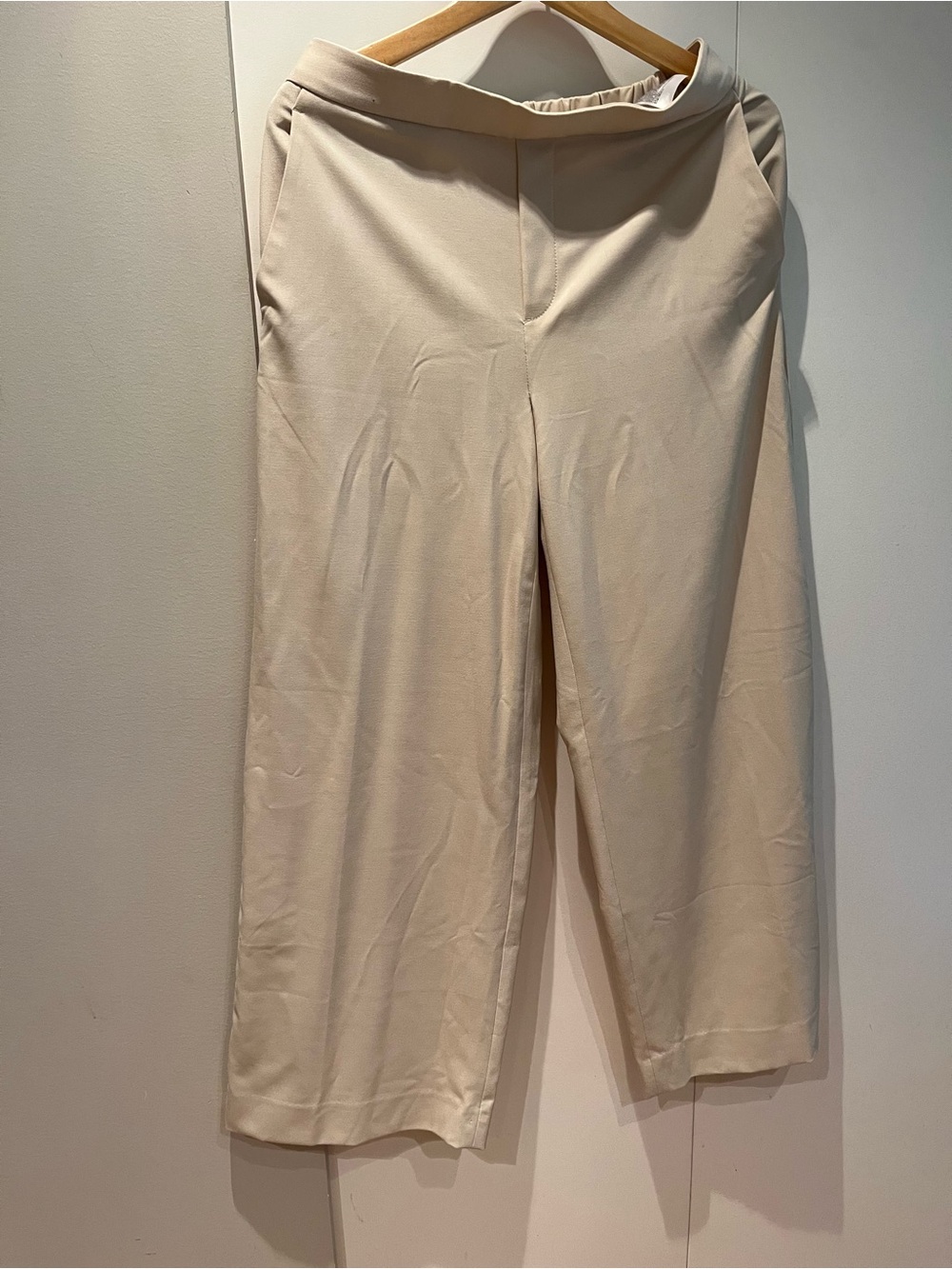 NWT Banana Republic Cream Wide-Leg Pants